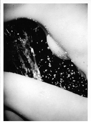 Day and Night Photoraphy Course